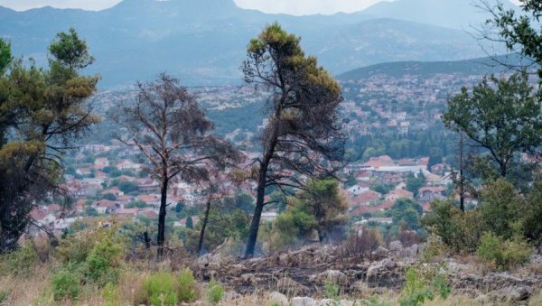 ЗГАРИШТЕ НА ПЛУЋИМА ГРАДА: Пожар на Горици локализован, ватрогасци у приправности ЗГАРИШТЕ НА ПЛУЋИМА ГРАДА: Пожар на Горици локализован, ватрогасци у приправности