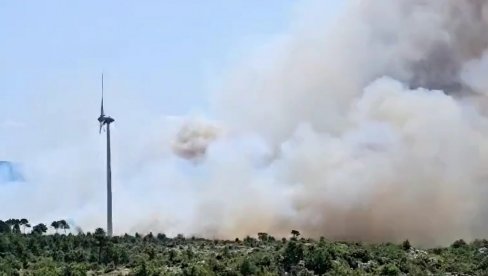 ОГРОМНА ВАТРЕНА БУКТИЊА У КОМШИЛУКУ: Бројни ватрогасци на терену, мештани у страху (ВИДЕО) ОГРОМНА ВАТРЕНА БУКТИЊА У КОМШИЛУКУ: Бројни ватрогасци на терену, мештани у страху (ВИДЕО)