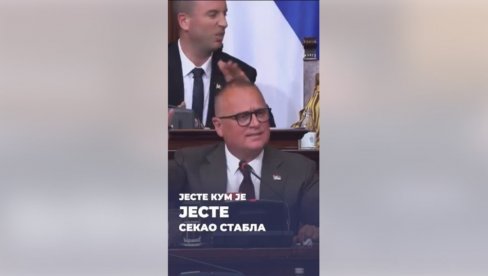 VESIĆ JASNO UPITAO: Koliko stabala sme da poseče Ćutin kum da bi on ćutao? (VIDEO) VESIĆ JASNO UPITAO: Koliko stabala sme da poseče Ćutin kum da bi on ćutao? (VIDEO)
