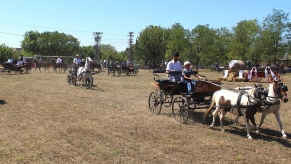 КОЊИ НАШИ РАЗИГРАНИ ЧУВАЈУ ТРАДИЦИЈУ: У Дорослову код Сомбора одржана фијакеријада КОЊИ НАШИ РАЗИГРАНИ ЧУВАЈУ ТРАДИЦИЈУ: У Дорослову код Сомбора одржана фијакеријада