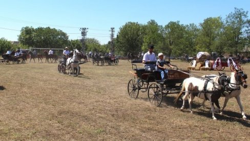 KONJI NAŠI RAZIGRANI ČUVAJU TRADICIJU: U Doroslovu kod Sombora održana fijakerijada KONJI NAŠI RAZIGRANI ČUVAJU TRADICIJU: U Doroslovu kod Sombora održana fijakerijada