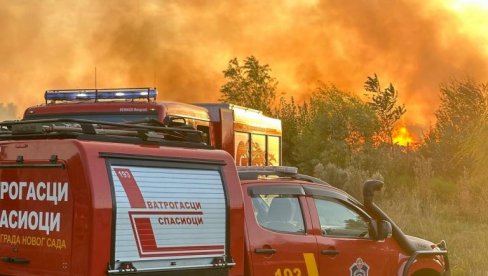 IZBIO POŽAR NA NOVOSADSKOJ KLISI: Vatra se sa niskog rastinja i divlje deponije proširila i na dvorišta „Gradskog zelenila“ IZBIO POŽAR NA NOVOSADSKOJ KLISI: Vatra se sa niskog rastinja i divlje deponije proširila i na dvorišta „Gradskog zelenila“