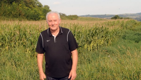 БАНИЈСКА БРДА САЊАО САМ У РАВНОЈ МАЧВИ: Никола Јањанин, из Горње Бачуге, после Олује вратио се на огњиште и пољопривредник је за узор БАНИЈСКА БРДА САЊАО САМ У РАВНОЈ МАЧВИ: Никола Јањанин, из Горње Бачуге, после Олује вратио се на огњиште и пољопривредник је за узор