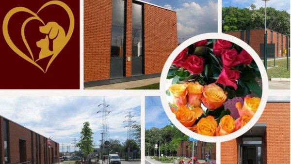 ОТВОРЕНО ГРОБЉЕ ЗА КУЋНЕ ЉУБИМЦЕ У БЕОГРАДУ ОТВОРЕНО ГРОБЉЕ ЗА КУЋНЕ ЉУБИМЦЕ У БЕОГРАДУ