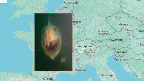 ŠVAJCARCI NAŠLI ČUDOVIŠTE: Misterija otkud ona na dnu jezera (VIDEO) ŠVAJCARCI NAŠLI ČUDOVIŠTE: Misterija otkud ona na dnu jezera (VIDEO)