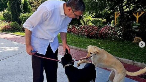 SVOM SNAGOM PROTIV TAJKUNA I KRIMINALACA Vučić jasno: Neće me proterati i neću da bežim - večeras stiže odgovor (FOTO) SVOM SNAGOM PROTIV TAJKUNA I KRIMINALACA Vučić jasno: Neće me proterati i neću da bežim - večeras stiže odgovor (FOTO)