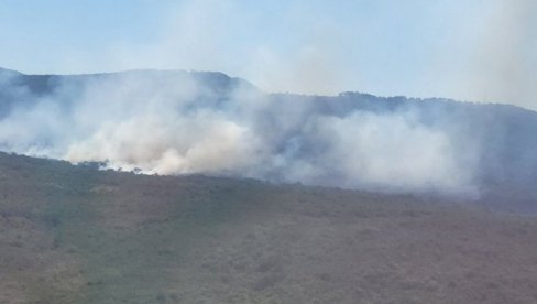 POŽARI PONOVO BUKNULI: Na području NP Sutjeska i Bileće vetar raspirio vatru POŽARI PONOVO BUKNULI: Na području NP Sutjeska i Bileće vetar raspirio vatru