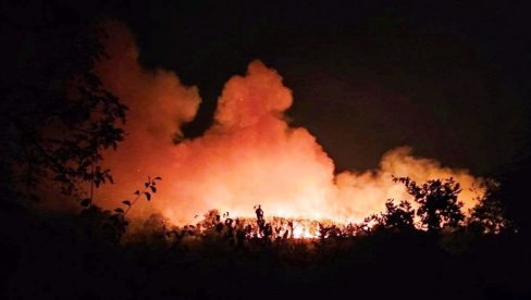 GORI IZMEĐU TREŠNJEVICE I SINJEG VIRA: Vatrogasci na terenu lokalizuju požar GORI IZMEĐU TREŠNJEVICE I SINJEG VIRA: Vatrogasci na terenu lokalizuju požar