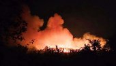 GORI IZMEĐU TREŠNJEVICE I SINJEG VIRA: Vatrogasci na terenu lokalizuju požar GORI IZMEĐU TREŠNJEVICE I SINJEG VIRA: Vatrogasci na terenu lokalizuju požar
