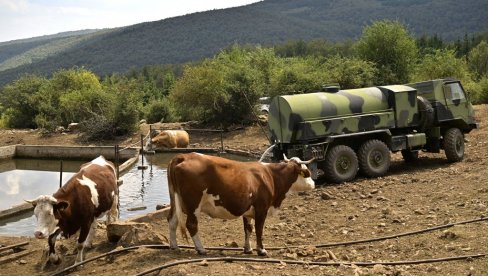 PRESUŠILE I CEVI I KORITA, LJUDIMA SU CISTERNE SPAS: Cela Srbija gori na plus 40, u više opština uvedena vanredna situacija PRESUŠILE I CEVI I KORITA, LJUDIMA SU CISTERNE SPAS: Cela Srbija gori na plus 40, u više opština uvedena vanredna situacija