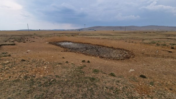 УГРОЖЕНО СТОЧАРСТВО НА ПЕШТЕРИ: Услед суше која месецима траје у селима на Пештерској висоравни сточари веома забринути (ФОТО) УГРОЖЕНО СТОЧАРСТВО НА ПЕШТЕРИ: Услед суше која месецима траје у селима на Пештерској висоравни сточари веома забринути (ФОТО)