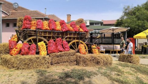 BIĆE DOBRE ROGE ZA AJVAR: Najveći plod od 382 grama nagovestio dobru berbu uprkos velikoj suši BIĆE DOBRE ROGE ZA AJVAR: Najveći plod od 382 grama nagovestio dobru berbu uprkos velikoj suši