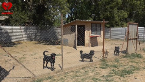 RUKA PRIJATELJSTVA ZA NAPUŠTENE LJUBIMCE: Meridian fondacija donirala prihvatilištu za pse i mačke u Somboru (VIDEO) RUKA PRIJATELJSTVA ZA NAPUŠTENE LJUBIMCE: Meridian fondacija donirala prihvatilištu za pse i mačke u Somboru (VIDEO)