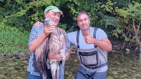SPASILI ZANEMOĆALOG BELOGLAVOG SUPA: Plemenita misija ribolovaca Ivana i Gorana na obali Drine SPASILI ZANEMOĆALOG BELOGLAVOG SUPA: Plemenita misija ribolovaca Ivana i Gorana na obali Drine