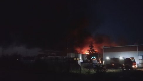 POŽAR U NEVENI DELIMIČNO LOKALIZOVAN: 70 vatrogasaca na terenu - Sprečeno da se vatrena stihija proširi (FOTO) POŽAR U NEVENI DELIMIČNO LOKALIZOVAN: 70 vatrogasaca na terenu - Sprečeno da se vatrena stihija proširi (FOTO)