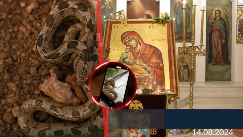 ČUDESAN PRIZOR - NEOBJAŠNJEN: Zmije preplavile crkvu za Veliku Gospojinu - tako je bilo i godinama unazad (VIDEO) ČUDESAN PRIZOR - NEOBJAŠNJEN: Zmije preplavile crkvu za Veliku Gospojinu - tako je bilo i godinama unazad (VIDEO)