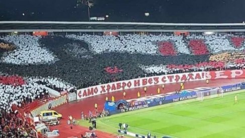 ZVEZDO, DOLAZIM! Kakve reči Novaka Đokovića sa Ju-Es opena posle plasmana šampiona Srbije u Ligu šampiona ZVEZDO, DOLAZIM! Kakve reči Novaka Đokovića sa Ju-Es opena posle plasmana šampiona Srbije u Ligu šampiona