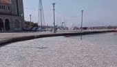 STOTINE HILJADA UGINULIH RIBA: Zatrpale poznato grčko turističko mesto (VIDEO) STOTINE HILJADA UGINULIH RIBA: Zatrpale poznato grčko turističko mesto (VIDEO)