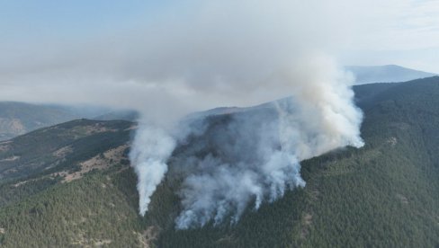 GORI 50 HEKTARA ŠUME: Bukte dva požara u kraljevačkom kraju GORI 50 HEKTARA ŠUME: Bukte dva požara u kraljevačkom kraju