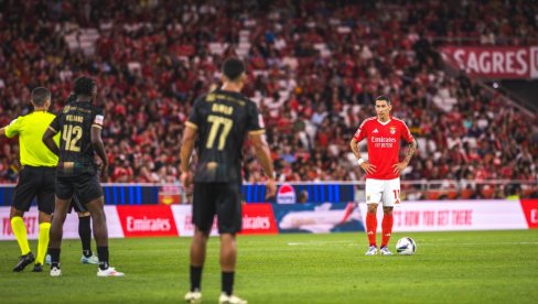 NISMO MOGLI DA SPAVAMO! Zvezda Benfike sramno udarila na Beograd NISMO MOGLI DA SPAVAMO! Zvezda Benfike sramno udarila na Beograd