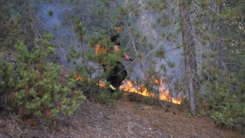 OD ŠUME - ZGARIŠTE: Vatrogasci još gase požar poviše Ušća u Ibarskoj klisuri OD ŠUME - ZGARIŠTE: Vatrogasci još gase požar poviše Ušća u Ibarskoj klisuri