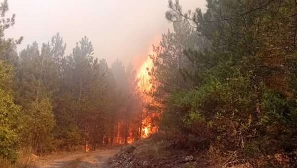ЦРНИ БИЛАНС СТРАДАЛИХ: Број погинулих у пожарима у Јужној Кореји повећан на 15 ЦРНИ БИЛАНС СТРАДАЛИХ: Број погинулих у пожарима у Јужној Кореји повећан на 15