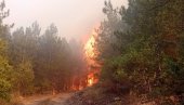 ЦРНИ БИЛАНС СТРАДАЛИХ: Број погинулих у пожарима у Јужној Кореји повећан на 15 ЦРНИ БИЛАНС СТРАДАЛИХ: Број погинулих у пожарима у Јужној Кореји повећан на 15