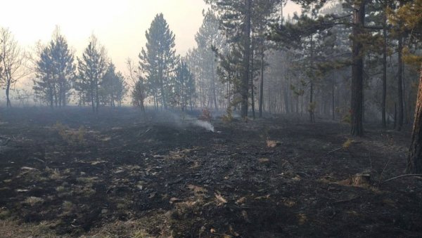 ОПУСТОШЕНО 170 ХЕКТАРА: Трећи дан букте пожари повише Ушћа и Богутовца у Ибарској клисури ОПУСТОШЕНО 170 ХЕКТАРА: Трећи дан букте пожари повише Ушћа и Богутовца у Ибарској клисури