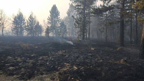 OPUSTOŠENO 170 HEKTARA: Treći dan bukte požari poviše Ušća i Bogutovca u Ibarskoj klisuri OPUSTOŠENO 170 HEKTARA: Treći dan bukte požari poviše Ušća i Bogutovca u Ibarskoj klisuri
