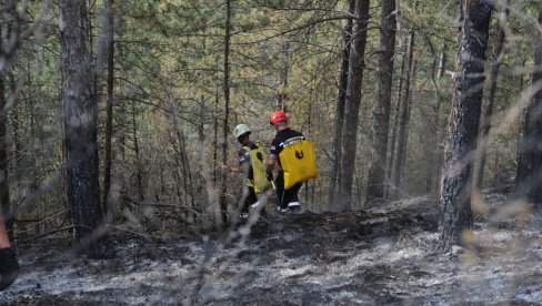 LOKALIZOVAN POŽAR NA ŽARAČKOJ PLANINI Vatrogasci dežuraju iznad Ušća LOKALIZOVAN POŽAR NA ŽARAČKOJ PLANINI Vatrogasci dežuraju iznad Ušća