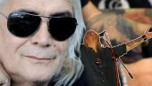 ИСПОШТОВАНА БОРИНА ПОСЛЕДЊА ЖЕЉА: Призор из његовог родног Чачка тера сузе на очи (ФОТО) ИСПОШТОВАНА БОРИНА ПОСЛЕДЊА ЖЕЉА: Призор из његовог родног Чачка тера сузе на очи (ФОТО)
