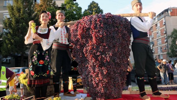 СМЕДЕРЕВО ВАЗДА ОТВОРЕНО: Последњи дан „Смедеревске јесени“ СМЕДЕРЕВО ВАЗДА ОТВОРЕНО: Последњи дан „Смедеревске јесени“