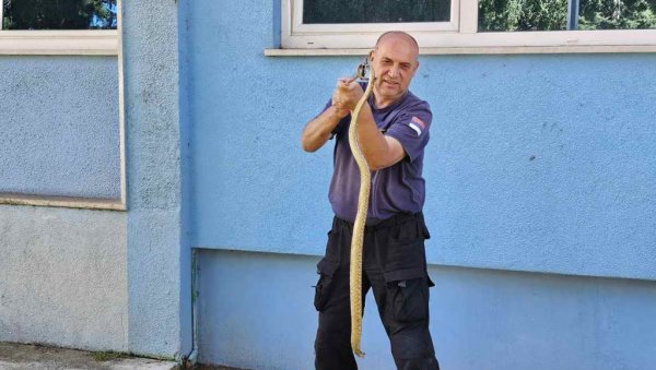 ПОСКОЦИ И ШАРКЕ ПРЕТЕ СА СВИХ СТРАНА: У Требињу последњих дана бројни грађани тражили помоћ због змија ПОСКОЦИ И ШАРКЕ ПРЕТЕ СА СВИХ СТРАНА: У Требињу последњих дана бројни грађани тражили помоћ због змија