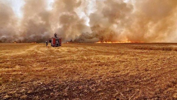 НА ДЕСЕТИНЕ ПОЖАРА У ПОЉУ: Ватрогасне екипе даноноћно на терену НА ДЕСЕТИНЕ ПОЖАРА У ПОЉУ: Ватрогасне екипе даноноћно на терену