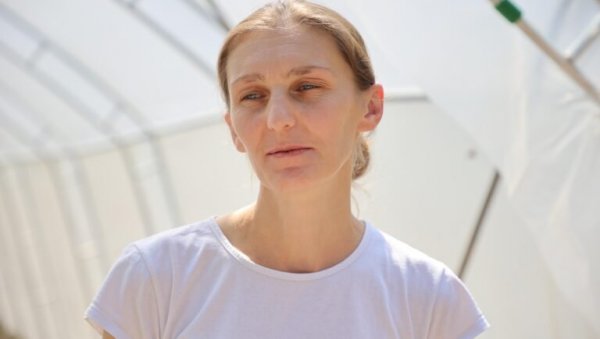 ПЛАСТЕНИЦИ ЗА УЖИЧАНЕ: Воће и поврће већ посађено ПЛАСТЕНИЦИ ЗА УЖИЧАНЕ: Воће и поврће већ посађено