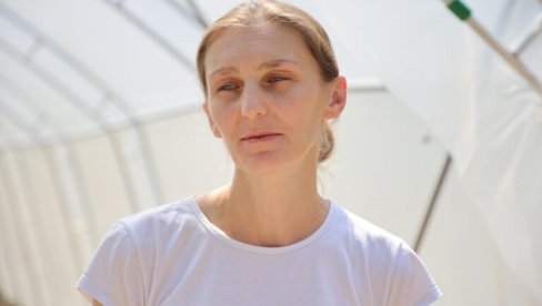 PLASTENICI ZA UŽIČANE: Voće i povrće već posađeno PLASTENICI ZA UŽIČANE: Voće i povrće već posađeno