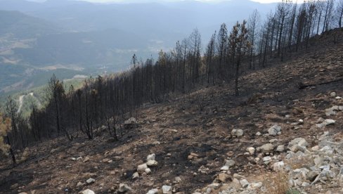 OPUSTOŠENO 300 HEKTARA: Ugašen požar na planini Troglav poviše Bogutovca OPUSTOŠENO 300 HEKTARA: Ugašen požar na planini Troglav poviše Bogutovca