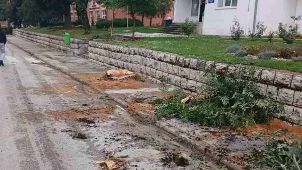 ЗБОГ СЕЧЕ СТАБАЛА, ОСУДЕ СА СВИХ СТРАНА: Реконструкција главне улице у Гацку изазвала негодовање становника ЗБОГ СЕЧЕ СТАБАЛА, ОСУДЕ СА СВИХ СТРАНА: Реконструкција главне улице у Гацку изазвала негодовање становника