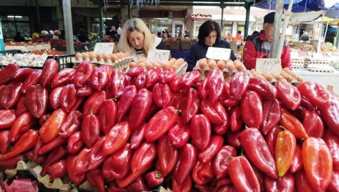 PAPRIKA PREPLAVILA PIJACU U PARAĆINU: Počinje sezona spremanja zimnice PAPRIKA PREPLAVILA PIJACU U PARAĆINU: Počinje sezona spremanja zimnice