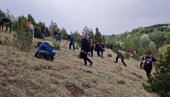 CRNIM BOROM ZAKITIĆE GOČ: U planu Vrnjčana da u 2024. goleti obogate sa 10.000 stabala CRNIM BOROM ZAKITIĆE GOČ: U planu Vrnjčana da u 2024. goleti obogate sa 10.000 stabala