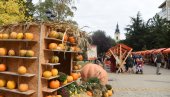 НА „ДАНИМА ЛУДАЈЕ“ У КИКИНДИ 70.000 ГОСТИЈУ: Највише их стигло из суседне Румуније НА „ДАНИМА ЛУДАЈЕ“ У КИКИНДИ 70.000 ГОСТИЈУ: Највише их стигло из суседне Румуније