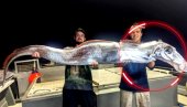 UPECALI RIBU SUDNJEG DANA Stanovništvo u strahu - sledi katastrofa, uhvaćena je u plitkom moru (FOTO) UPECALI RIBU SUDNJEG DANA Stanovništvo u strahu - sledi katastrofa, uhvaćena je u plitkom moru (FOTO)