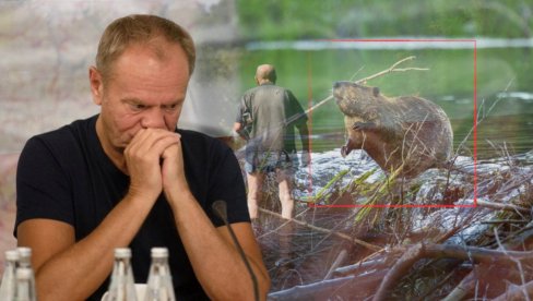 POLJSKA IMA NOVOG NEPRIJATELJA Premijer Tusk objavio rat DABROVIMA i izdao naređenje: Učinite šta god je potrebno! POLJSKA IMA NOVOG NEPRIJATELJA Premijer Tusk objavio rat DABROVIMA i izdao naređenje: Učinite šta god je potrebno!
