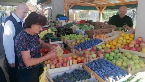 PRIPREMA ZIMNICE U TOKU, TRGOVCI TRLJAJU RUKE: Dobra ponuda na zelenjaku u Vršcu, a cene uglavnom niže nego u marketima PRIPREMA ZIMNICE U TOKU, TRGOVCI TRLJAJU RUKE: Dobra ponuda na zelenjaku u Vršcu, a cene uglavnom niže nego u marketima