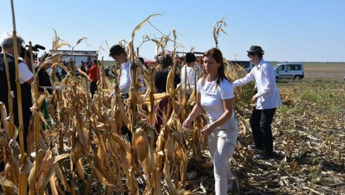UČESTVOVALI I MAĐARI I RUMUNI: U selu Torda u Banatu održan Festival kukuruza (FOTO) UČESTVOVALI I MAĐARI I RUMUNI: U selu Torda u Banatu održan Festival kukuruza (FOTO)