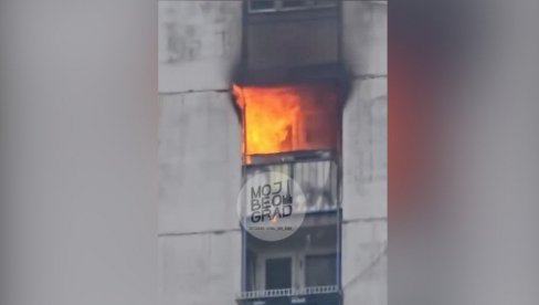 ПРВЕ СЛИКЕ СТРАВИЧНОГ ПОЖАРА У БЛОКУ 61: Пламен избија са прозора, евакуација станара у току (ФОТО/ВИДЕО) ПРВЕ СЛИКЕ СТРАВИЧНОГ ПОЖАРА У БЛОКУ 61: Пламен избија са прозора, евакуација станара у току (ФОТО/ВИДЕО)