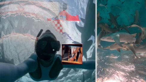 HRVATICU UJELA AJKULA: Zube mi je zarila u podlakticu, nisam smela da vrištim i mlataram nogama i rukama (FOTO) HRVATICU UJELA AJKULA: Zube mi je zarila u podlakticu, nisam smela da vrištim i mlataram nogama i rukama (FOTO)