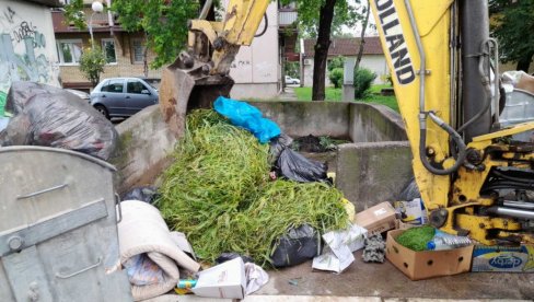 КОМУНАЛЦИМА ПУНЕ РУКЕ ПОСЛА: Јесења акција одношења вртног и кабастог отпада у Краљеву КОМУНАЛЦИМА ПУНЕ РУКЕ ПОСЛА: Јесења акција одношења вртног и кабастог отпада у Краљеву
