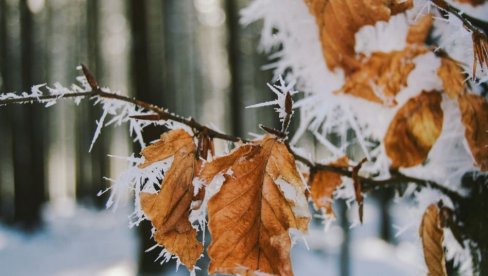 RHMZ IZDAO ŽUTI METEOALARM: Vremenska prognoza za ponedeljak, 20. oktobar