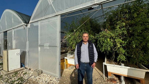 ПОВРЋЕ ИМ РАСТЕ КАО ИЗ ВОДЕ: Породица Гашовић из Ниша узгаја биљке и шаране необичним системом аквапоније (ФОТО) ПОВРЋЕ ИМ РАСТЕ КАО ИЗ ВОДЕ: Породица Гашовић из Ниша узгаја биљке и шаране необичним системом аквапоније (ФОТО)
